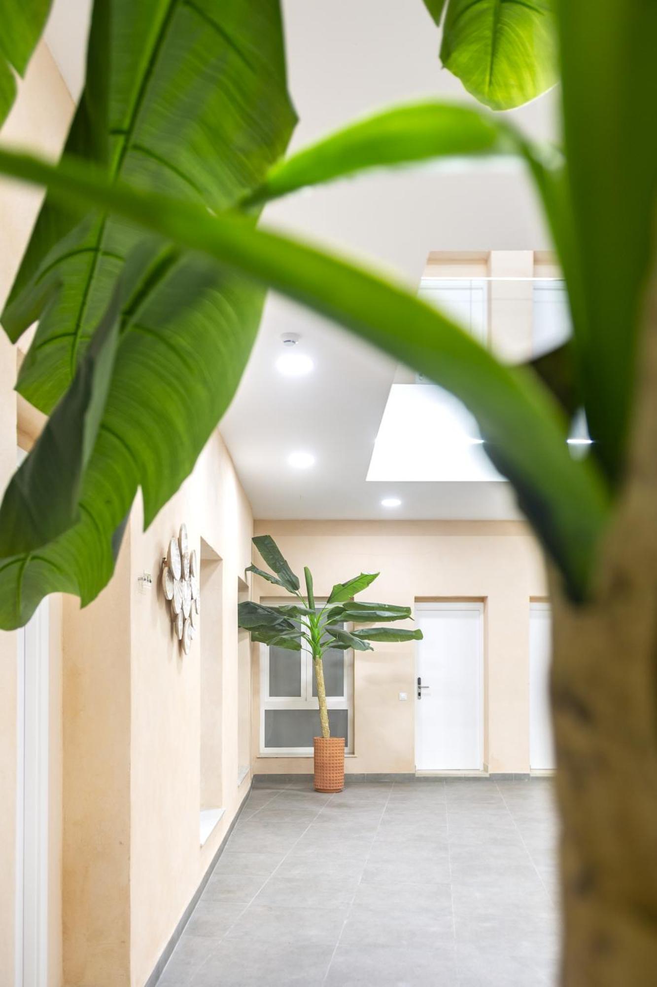 Apartamentos La Tahona カディス エクステリア 写真